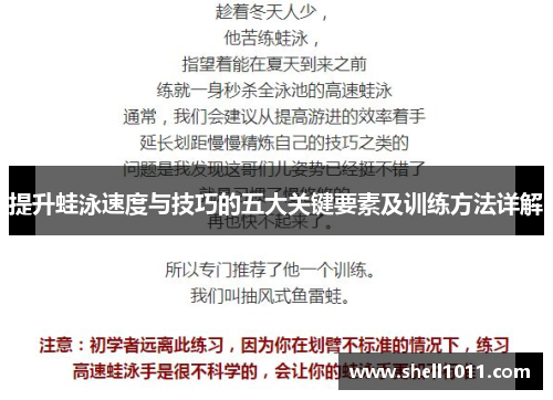 提升蛙泳速度与技巧的五大关键要素及训练方法详解