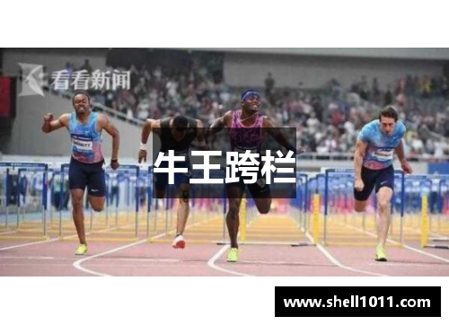 牛王跨栏