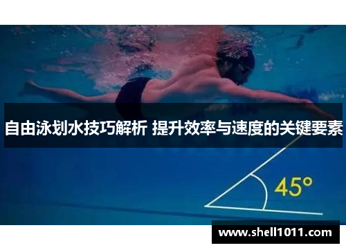 自由泳划水技巧解析 提升效率与速度的关键要素
