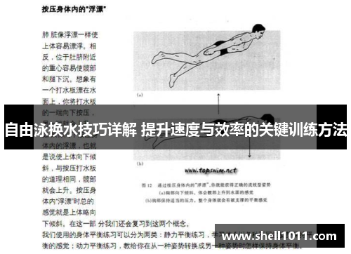 自由泳换水技巧详解 提升速度与效率的关键训练方法