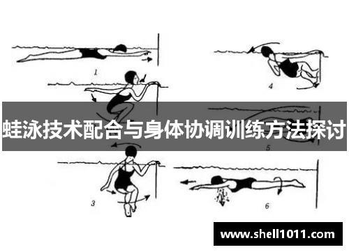 蛙泳技术配合与身体协调训练方法探讨