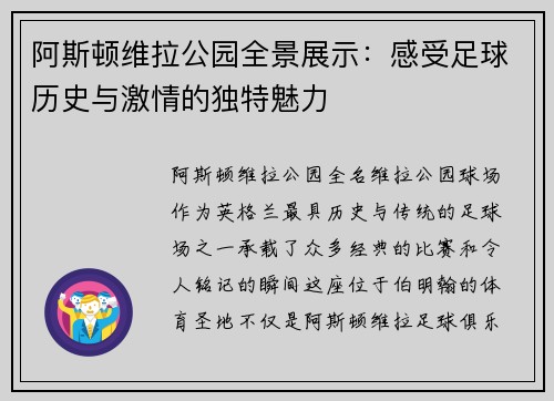 阿斯顿维拉公园全景展示：感受足球历史与激情的独特魅力